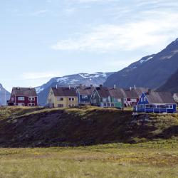 Narsaq 5 hotels