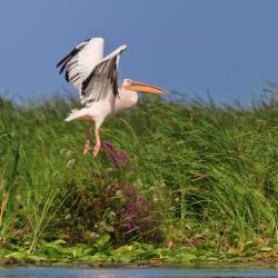 Focşani 49 hoteles con estacionamiento