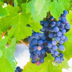 Vereeniging 3 hot&eacute;is com spa