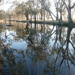 Bairnsdale 19 hoteller