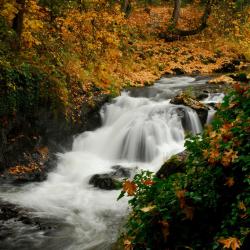 Tumwater 8 hotelů