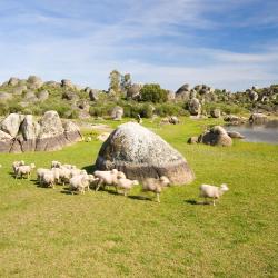 Malpartida de C&aacute;ceres 3 hoteles con pileta