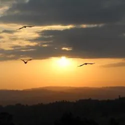 Kisii 6 allotjaments vacacionals