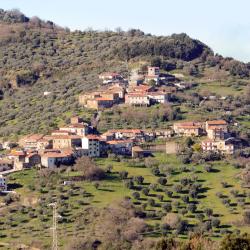 Ogliastro Cilento 9 cottage