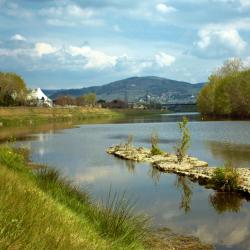 Montelupo Fiorentino 31 vacation rentals