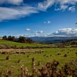 Mallow 4 holiday rentals
