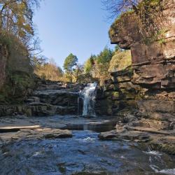 Lanark 8 pet-friendly hotels