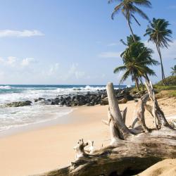 Big Corn Island 6 ferieboliger
