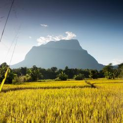 Doi Saket 7 family hotels