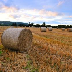 Tullow 5 glamping sites