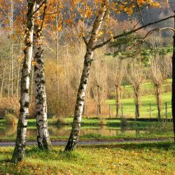 Niederbronn-les-Bains 17 hoteli