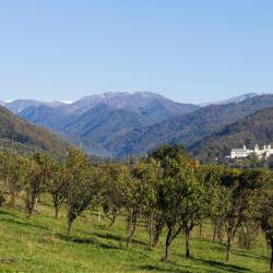 Horezu 26 bed & breakfast