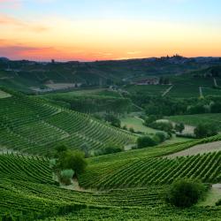 Cherasco 15 vacation rentals