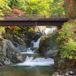 Date 4 cheap hotels