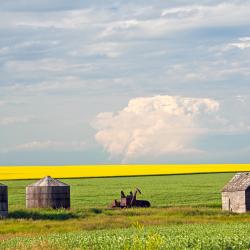 Kindersley 6 cheap hotels