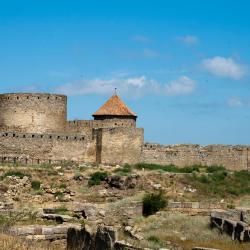 TNTda Doma 2 dan porno videolar Ryazandagi jinsiy sheriklar