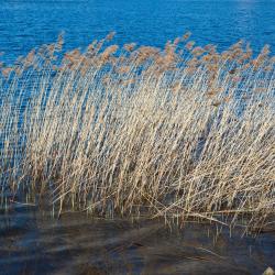 Seehausen am Staffelsee 5 hotelli