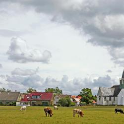Oudeschild 5 cottages