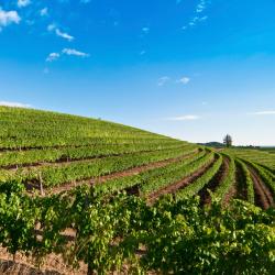 Cervignano del Friuli 3 maisons d'hôtes