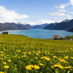 Stranda 39 holiday rentals