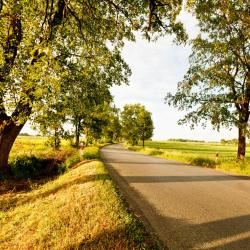 Rzepin 3 hotels amb aparcament