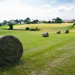 Champagnole 9 hoteli przyjaznych zwierzętom