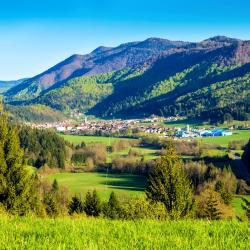 Ribnica 4 holiday rentals