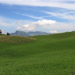 Morschach 4 holiday rentals