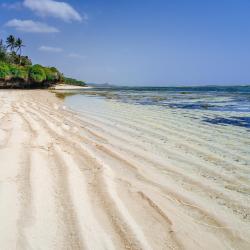 Tiwi 7 hotels with parking