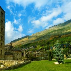 Taull 9 pet-friendly hotels