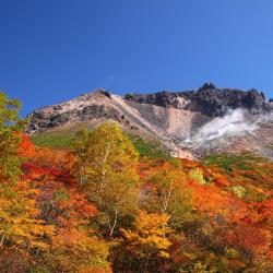 Nasu-yumoto 48 of the villas