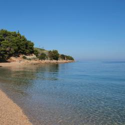 Medveja 12 pet-friendly hotels