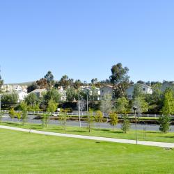Chino 8 hotels