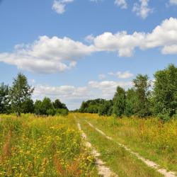 Skierniewice 13 obiektów na wynajem sezonowy