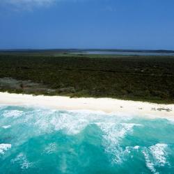 Mangrove Cay 1 hotel