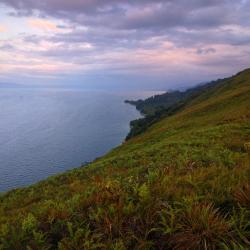 Tentena 2 hotels