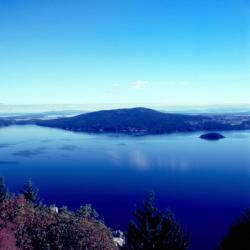 Comox 7 hotels