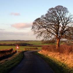 Sleaford 11 holiday rentals