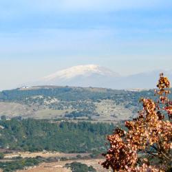 Kefar Weradim 5 of the lodges