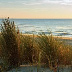 Saint-Julien-en-Born