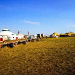 Hohhot 5 5-star hotels