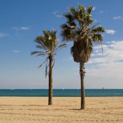 Hospitalet de l'Infant 49 vacation rentals