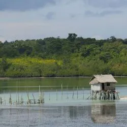 Tagbilaran City Koče (17)