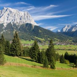 Mariastein 3 pet-friendly hotels