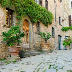 Castellina in Chianti 12 farm stays