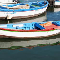Mola di Bari 41 vacation homes