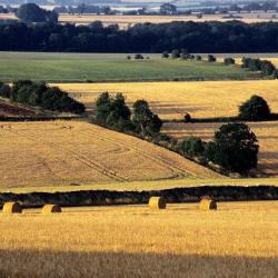 Shipston-on-Stour 6 B&Bs
