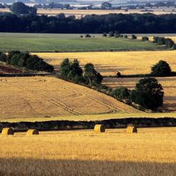 Shipston on Stour 14 hôtels