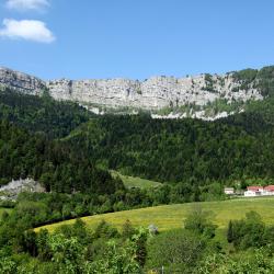 Poligny 5 B&Bs