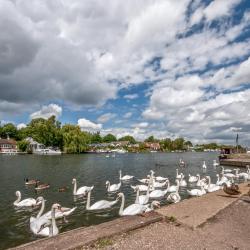 Walton-on-Thames 7 hotels with parking